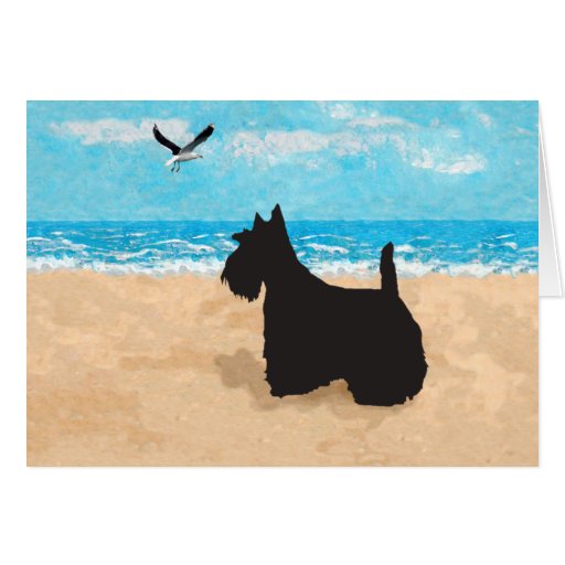 Scottish Terrier Greeting Card
