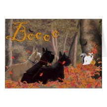 Scottish Terrier Greeting Card