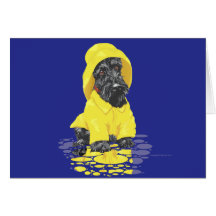 Scottish Terrier Greeting Card