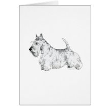 Scottish Terrier Greeting Card