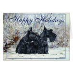 Scottish Terrier Greeting Card