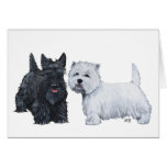 Scottish Terrier Greeting Card