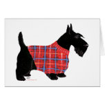 Scottish Terrier in a Sweater Greeting Card