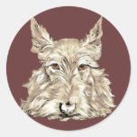 Scottish Terrier in Wheaten Round Stickers