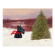 Scottish Terrier in Wintertime Post Card