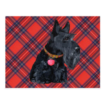 Scottish Terrier Love Post Card