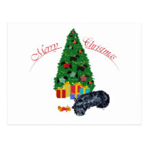 Scottish Terrier Nap Christmas Post Cards