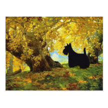 Scottish Terrier Post Card