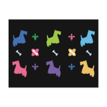 Scottish Terrier