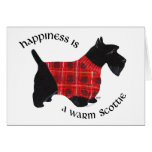 Scottish Terrier Red & Black Plaid Sweater Cards