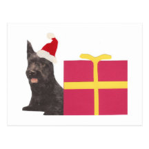 Scottish Terrier Santa Hat Post Cards