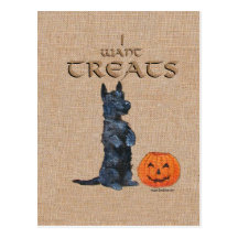 Scottish Terrier Sits Up for Treats! Postcards