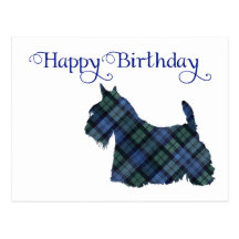 Scottish Terrier Tartan Silhouette Postcard