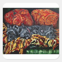 Scottish Terrier Trio on Sofa Square Stickers