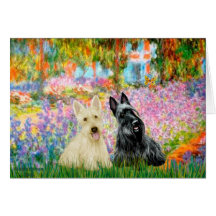 Scottish Terrier (two BW) - Garden Card