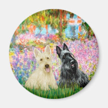 Scottish Terrier (two BW) - Garden Refrigerator Magnets