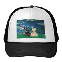 Scottish Terrier (two-BW) - Lilies 5 Hat