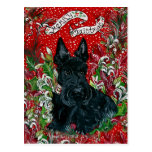 Scottish Terrier Xmas Postcards
