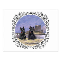 Scottish Terriers at Eileen Donan Castle Post Card