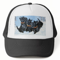 Scottish Terriers in the snow! Hats