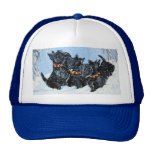 Scottish Terriers in the snow! Hat