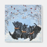 Scottish Terriers in the snow! Refrigerator Magnets