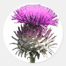 Scottish Thistle Sticker