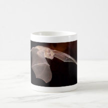 Scout  Bat Mug
