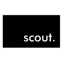 scout. business cards