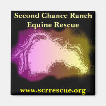 SCR Magnet