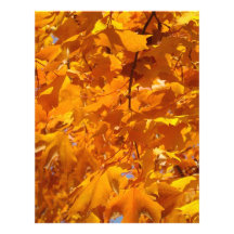 Scrapbook paper Golden Autumn Tree Leaves Orange Letterhead Template