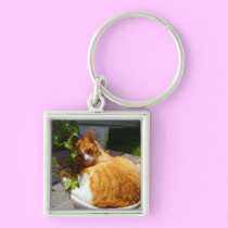 Scrapper in a pot keychains