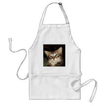 Scrapper Kitten Aprons