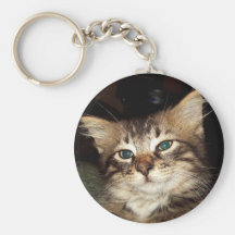 Scrapper Kitten Keychains