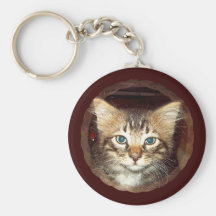 Scrappy Kitten Key Chain