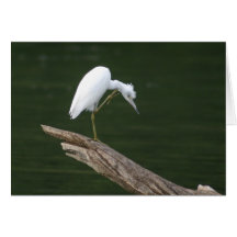 Scratching an itch card
