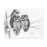 Screech Owl Family 2 Postcard
