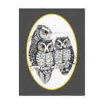 Screech Owl Family Postcard