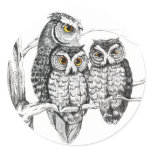Screech Owl Family Sticker