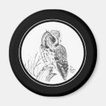 Screech Owl Magnet in pencil