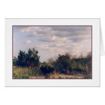 'Scrub Brush' Blank Greeting Card