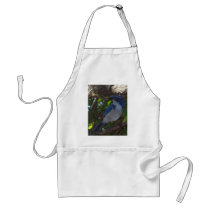 Scrub Jay Aprons