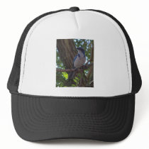 Scrub Jay Trucker Hat