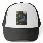 Scrub Jay Mesh Hat