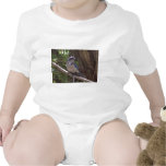 Scrub Jay t-shirts