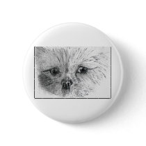 Scruffy buttons