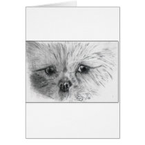 Scruffy cards