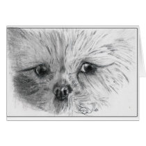 Scruffy cards