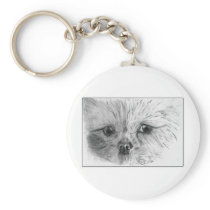 Scruffy keychains