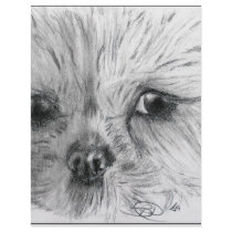 Scruffy letterhead